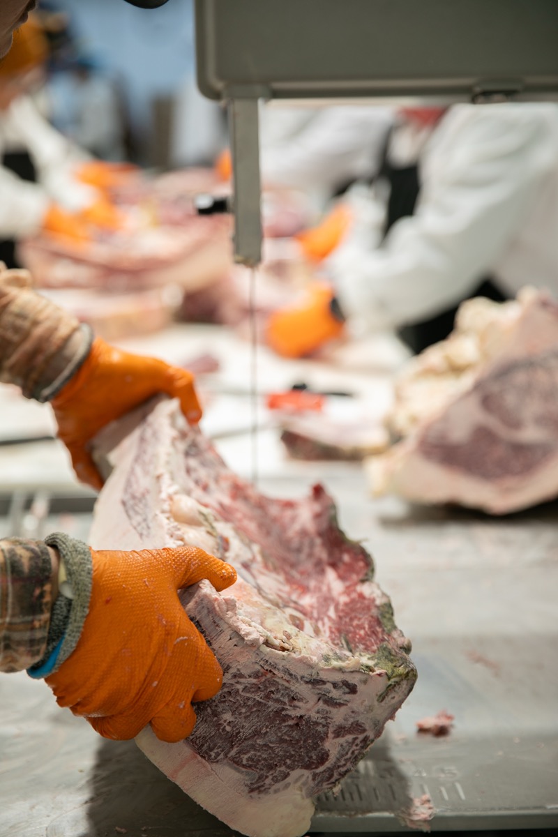 90 West Beef processing