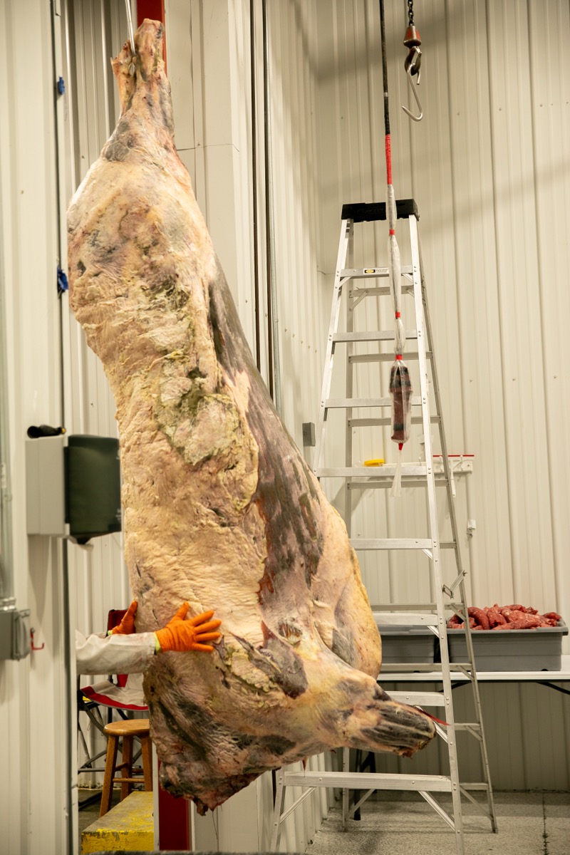 90 West Beef processing