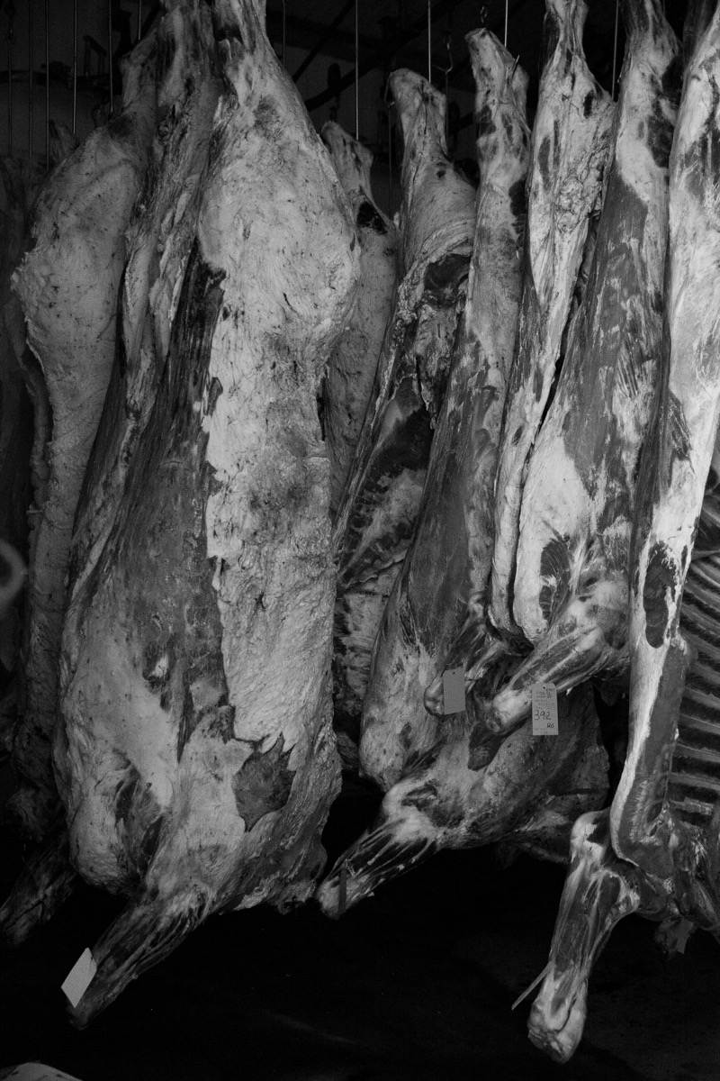 90 West Beef processing