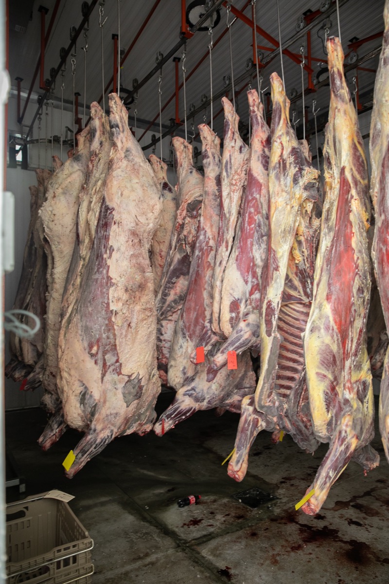 90 West Beef processing