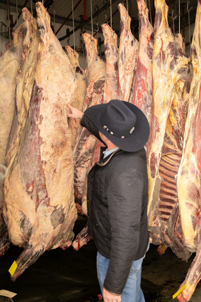 90 West Beef processing